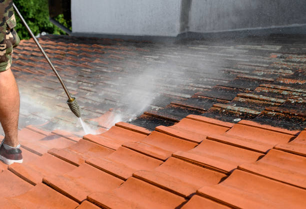 Best Best Pressure Washing Companies  in Alanuk, AK